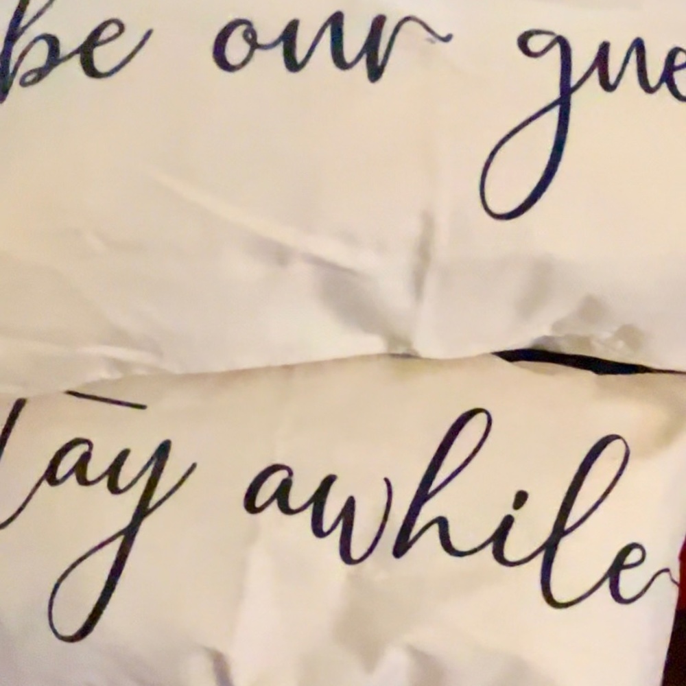 Indoor/Outdoor Decorative Pillows Set of 2